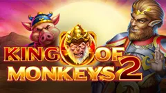 RTP Playngo  wdbesar77